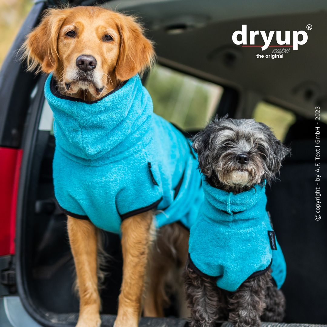 Dryup cape - Cyan